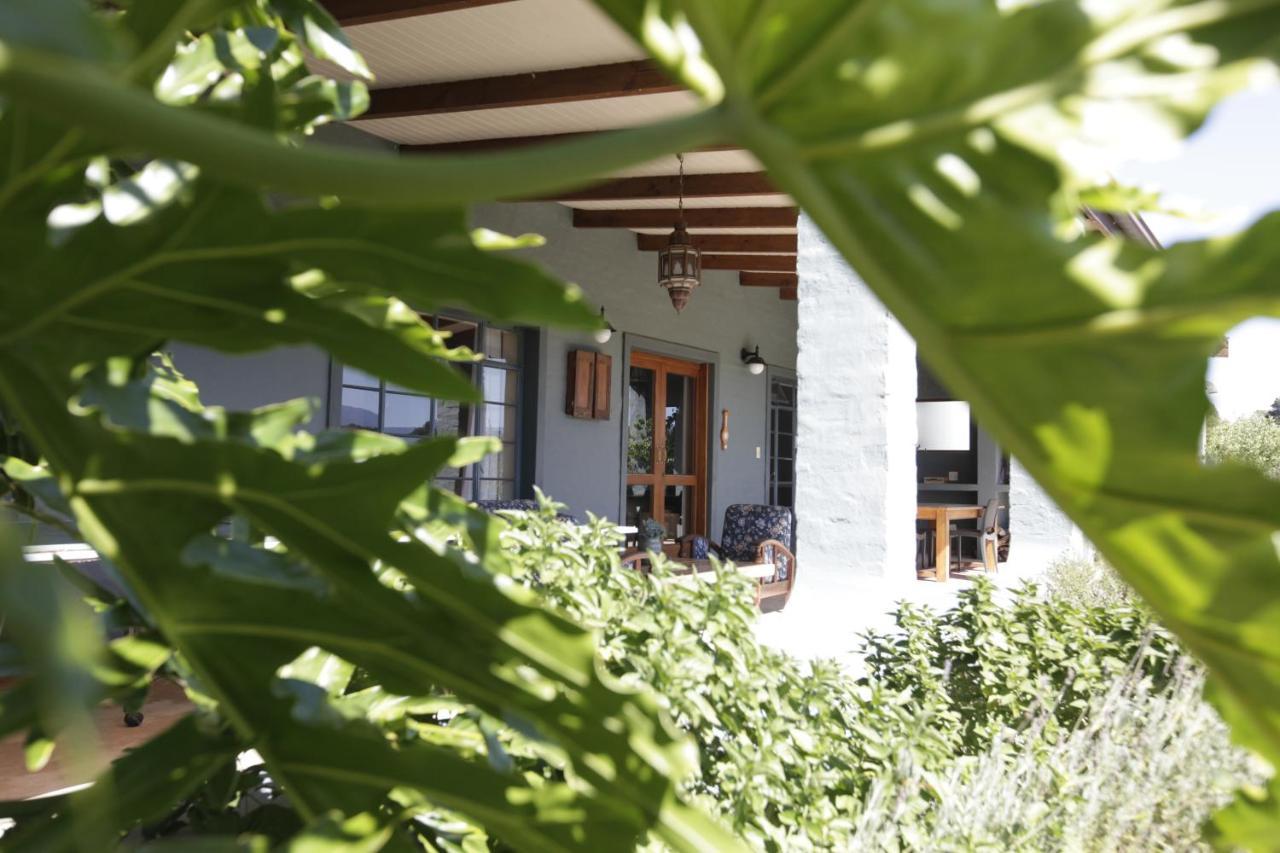 Forest Hills Knysna Exterior foto